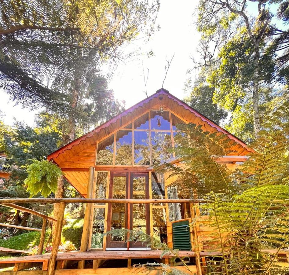 Chale Samambaia Villa Campos do Jordao Exterior photo